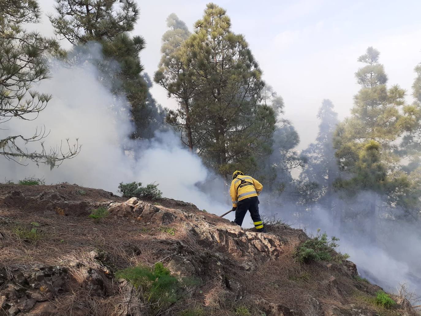 Extinguido el conato de incendio en una zona de pinar en Valsequillo