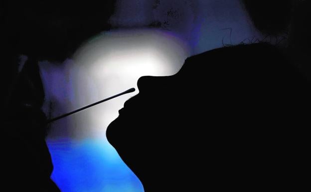 El virus que paró el mundo