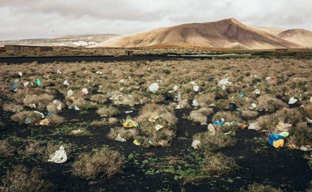 Miles de bolsas de plástico sin control