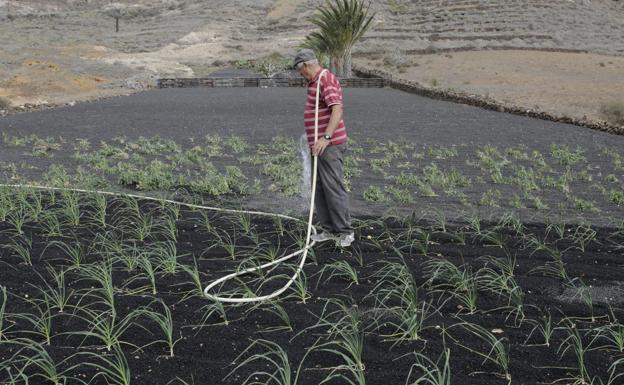 La nueva red de riego entre Zonzamas y Arrieta dispondrá de 6,83 millones de euros