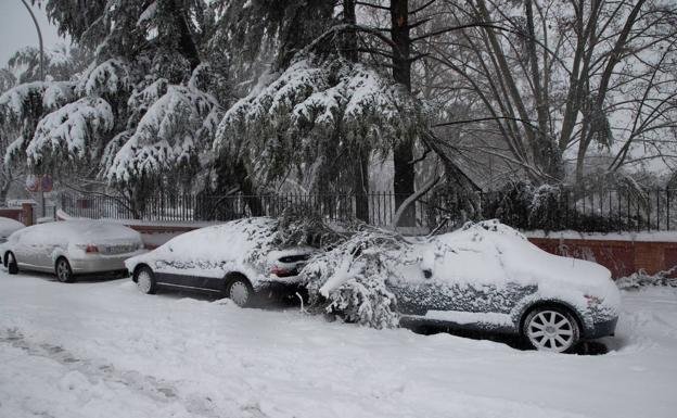 ¿Qué daños cubre el seguro tras la gran nevada?