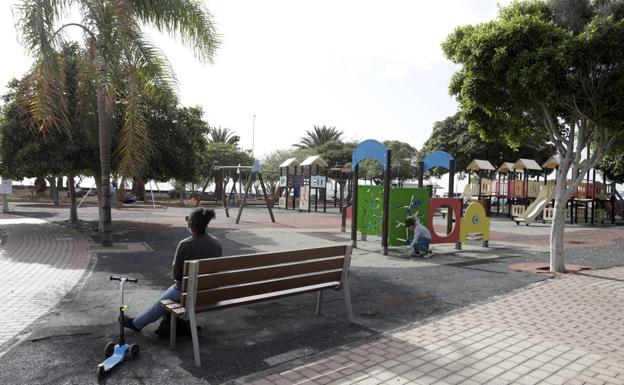 Acciones contra roedores e insectos en Arrecife