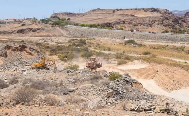 Loro Parque recurrirá la sentencia contra el parque acuático del sur