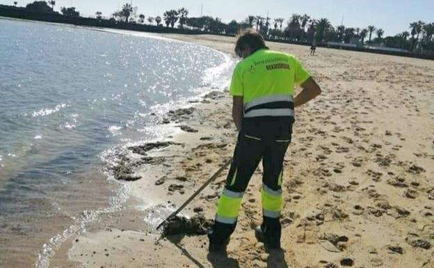 Limpieza de la playa de El Reducto