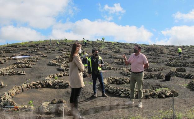 El Cabildo recupera más de un centenar de hectáreas de espacios agrícolas degradados