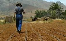 Unos 680.000 agricultores podrán solicitar desde el lunes las ayudas de la PAC
