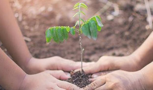 Descargue el suplemento completo en formato pdf