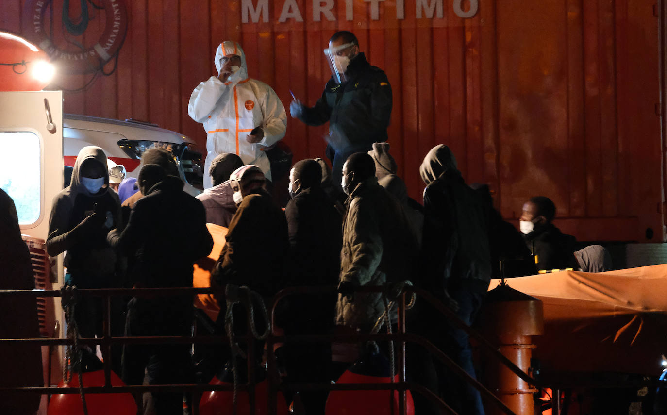 El tonto y el oportunista