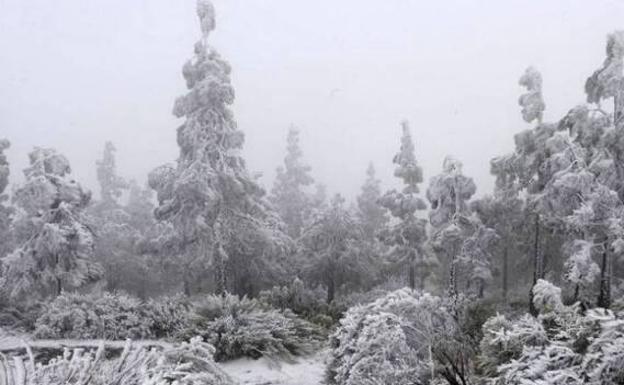 El Cabildo «blindará la cumbre» de Gran Canaria ante el anuncio de nevadas
