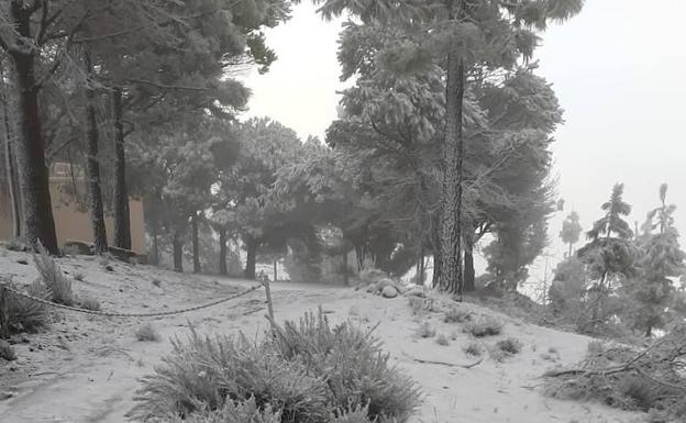 Así está la cumbre cubierta de blanco