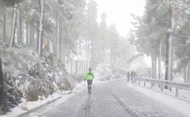 Vídeo: Un paseo por la cumbre nevada de Gran Canaria