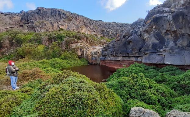 Avanfuer enseña a respetar al barranco de los Molinos y a sus aves