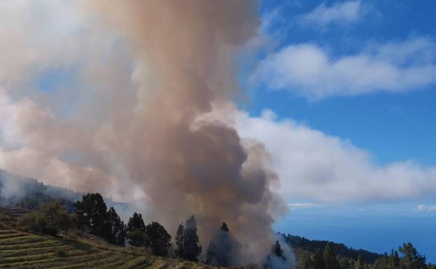Investigado por un incendio forestal en Puntagorda tras quemar restos de poda