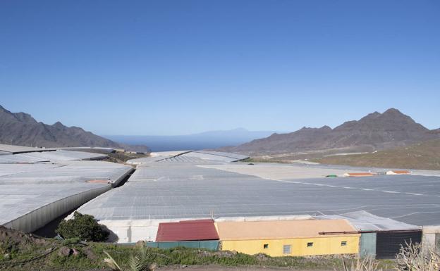Canarias ha perdido en 20 años 7.000 hectáreas de suelo cultivado