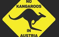 Los famosos canguros de Austria y otras confusiones geográficas