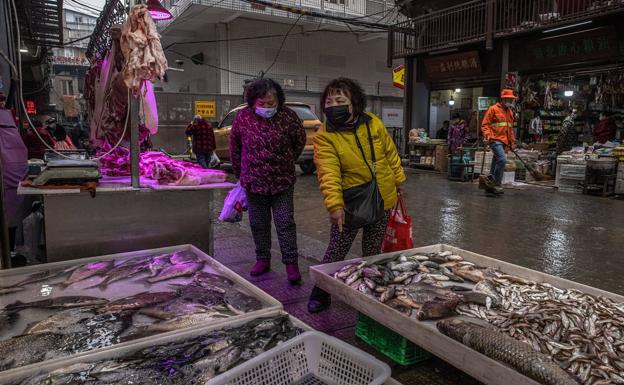 La protección de la biodiversidad, la otra lección en forma de vacuna que enseña la pandemia