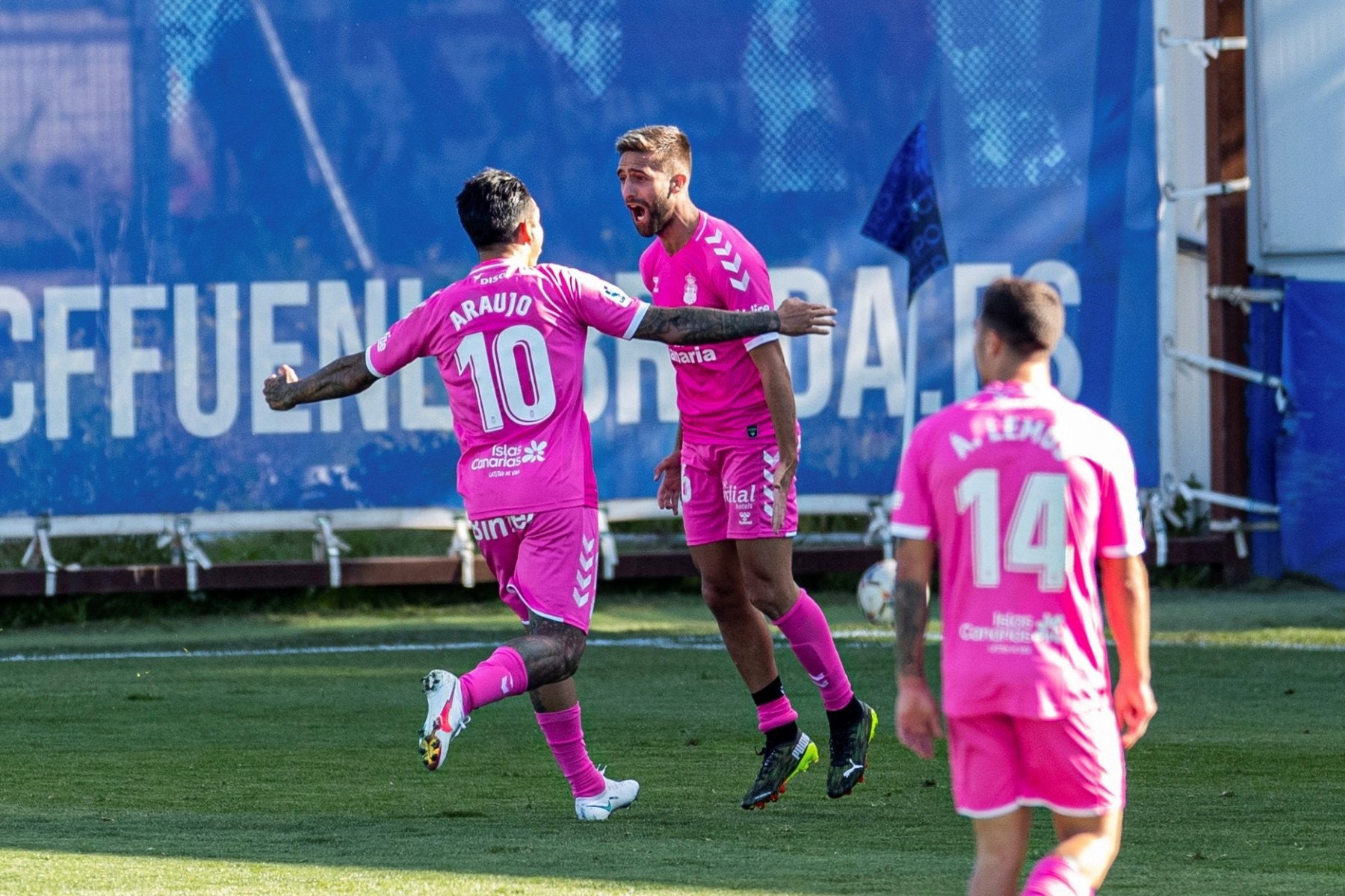 Pejiño y el arte del óleo sobre lienzo