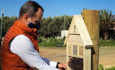 Agüimes instala 'hoteles' para abejas en sus huertos urbanos