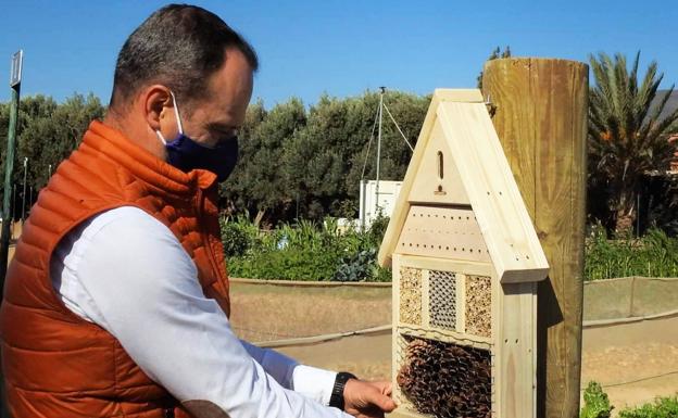 Agüimes instala 'hoteles' para abejas en sus huertos urbanos