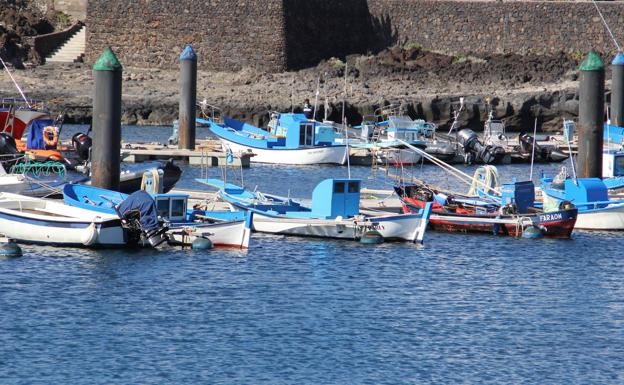 7,7 millones en ayudas para los operadores de pesca artesanal, industrial y la acuicultura