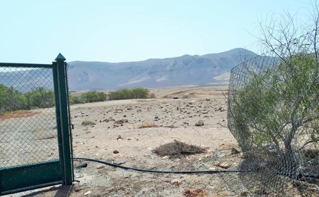 Investigan destrozos y uso ilícito del Circuito de Los Alare