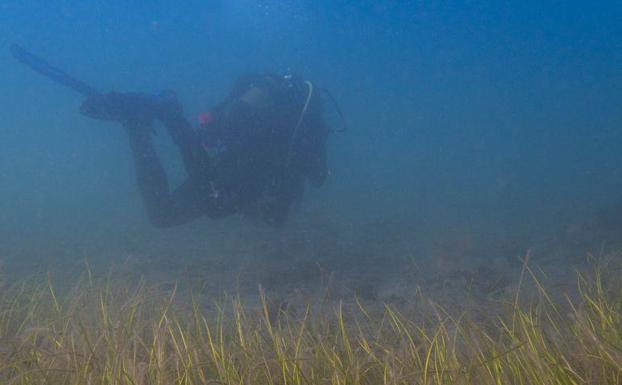 Salvar Agaete denuncia las secuelas del accidente del ferry