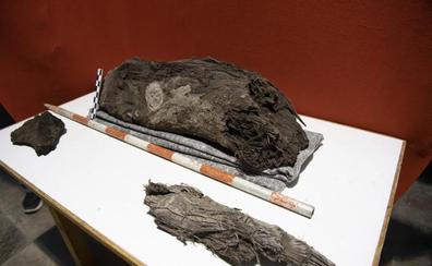 El tronco de La Aldea puede ser el resto vegetal más antiguo de Canarias