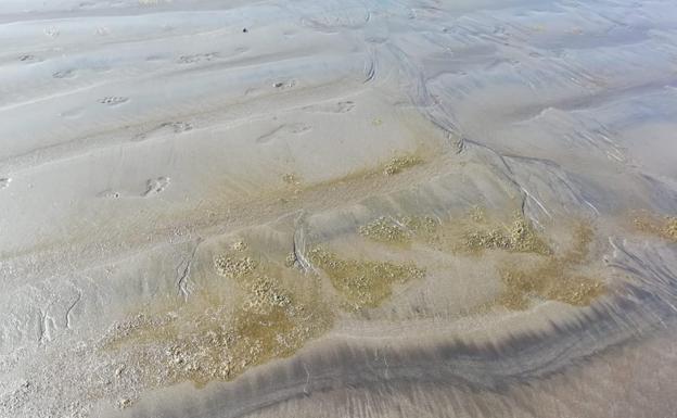 Denuncian vertidos con presencia en la arena y en el mar de la Playa del Águila