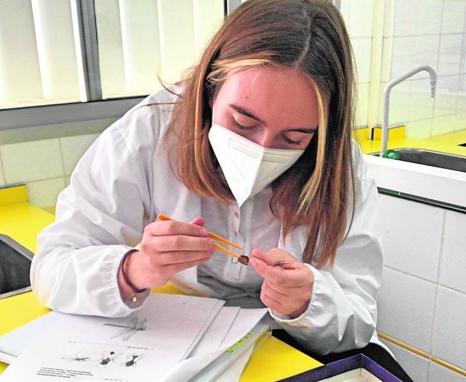 El LFIGC ofrece una educación integral y contemporánea, en tres idiomas, desde Infantil a Bachillerato