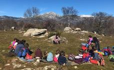 Bosquescuela, un colegio en la naturaleza