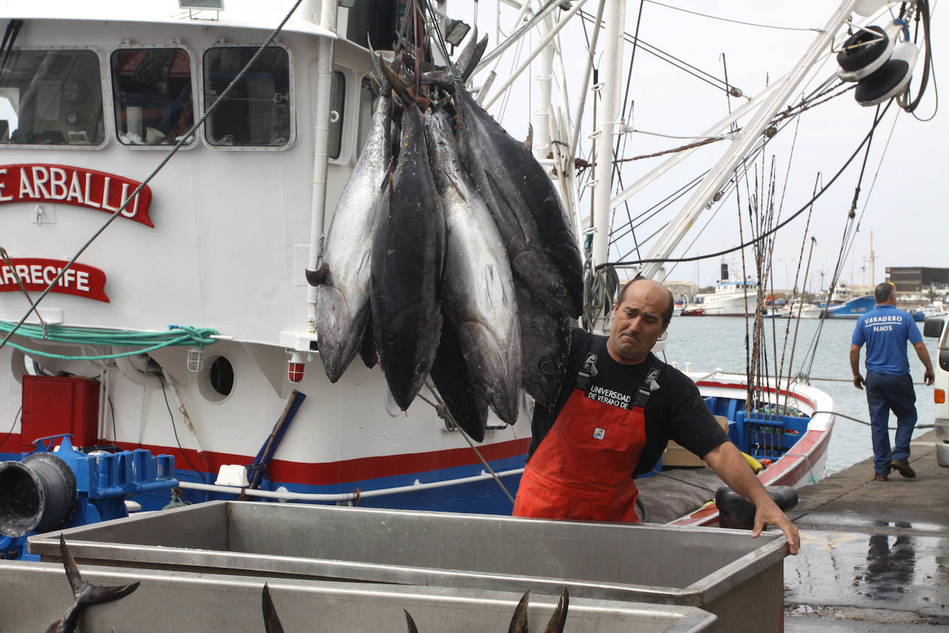 Decretado el cierre precautorio de la pesca de tuna para la flota canaria artesanal