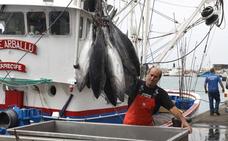 Decretado el cierre precautorio de la pesca de tuna para la flota canaria artesanal