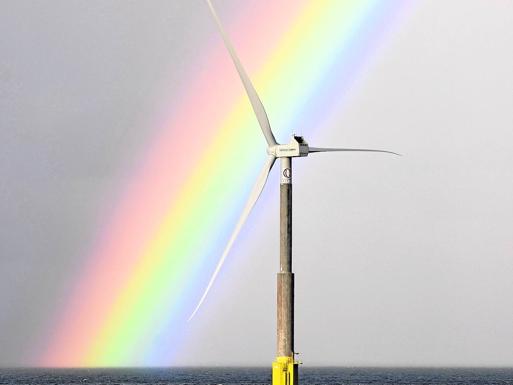 Descargue el suplemento completo Especial Energía, Eficiencia y Sostenibilidad en formato pdf