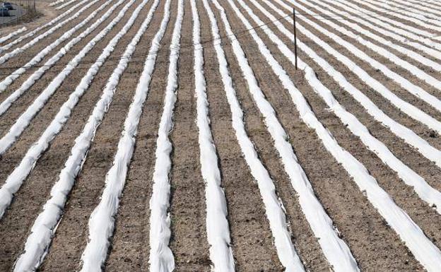 GMR Canarias aumenta un 15% la venta de productos agroalimentarios en 2020