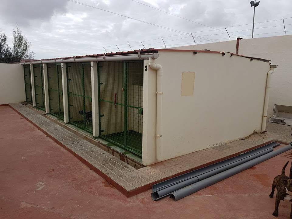 Ingenio mejorará las instalaciones del albergue de animales CETA y el Punto Limpio