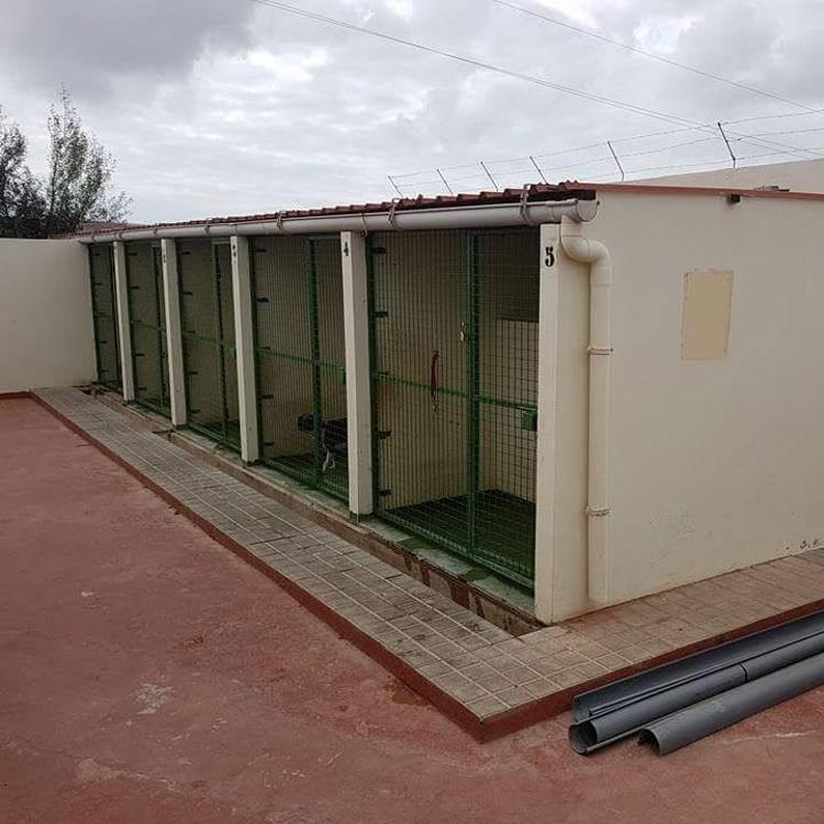 Ingenio mejorará las instalaciones del albergue de animales CETA y el Punto Limpio