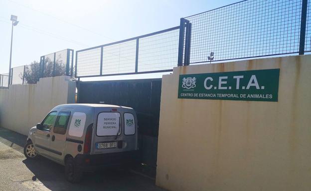 Ingenio blinda el Punto Limpio y el CETA frente a robos de materiales y actos vandálicos