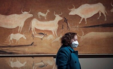 De las cavernas a los museos, el milenario viaje del arte rupestre