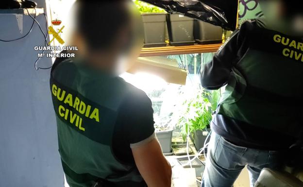 Cae un punto de venta de marihuana en que se camuflaba como una asociación