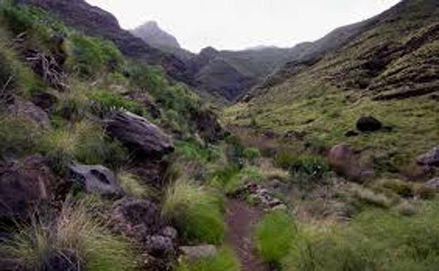 Herida tras sufrir una caída en el camino al Charco Azul, en Agaete
