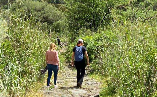 Recuperados 4 kilómetros de piedra del Camino de Las Bestias en Guayadeque