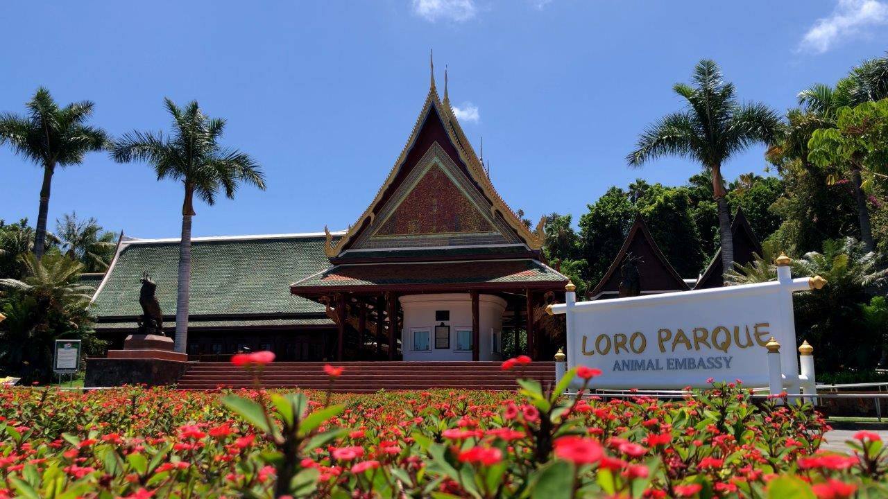 Loro Parque anuncia su reapertura tras más de 13 meses de cierre