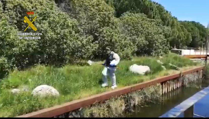 La covid disparó las infracciones contra la naturaleza, sobre todo por tirar guantes y mascarillas