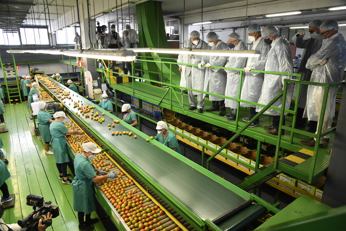 Los 192 supermercados Spar venderán más de 500 toneladas de tomate aldeano