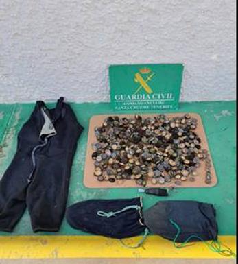 La Guardia Civil incauta 10 kilos de lapas y denuncia a una persona por marisqueo y venta en Tenerife