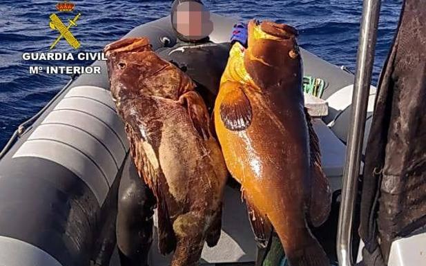 La Guardia Civil desarticula un grupo de pescadores furtivos en Lanzarote