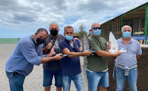 Tres palomas grancanarias ganan el VII Derby Internacional de Maspalomas
