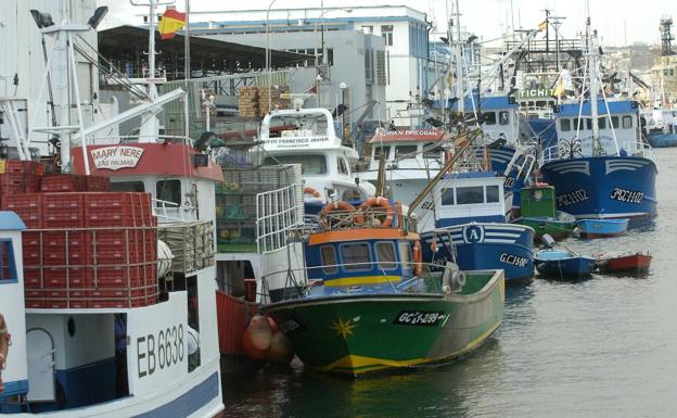 Pescadores alertan que el decreto sobre pesca recreativa legaliza al furtivo