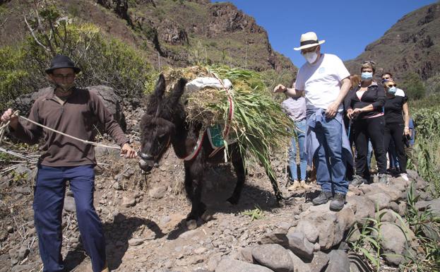 El camino de la memoria