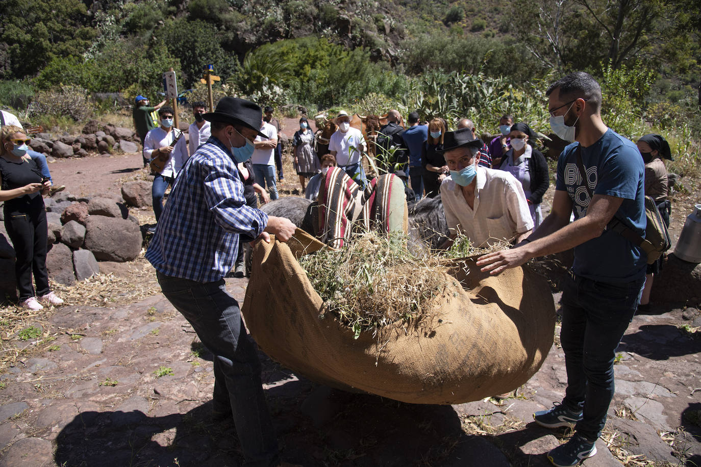Reapertura del Camino de las Bestias